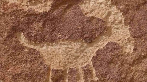 Experience Hopi Tours