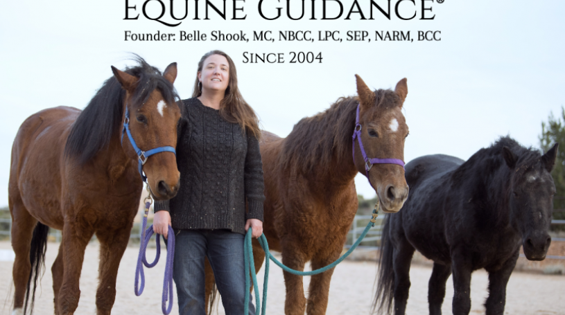 

			
				Equine Guidance ®
			
			
	