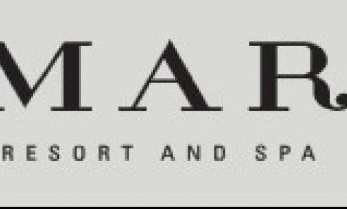 Amara logo
