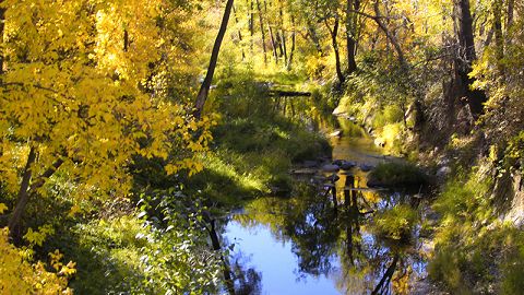 Visit Sedona